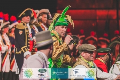 180202_600_Duemjrofe Große Sitzung-1294
