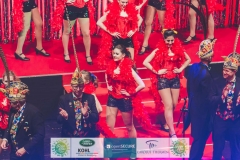 180213_200_Theaterball-1211