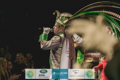 180213_200_Theaterball-1725
