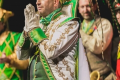 180213_200_Theaterball-1837