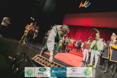 180213_200_Theaterball-2098
