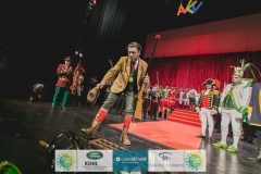 180213_200_Theaterball-2112
