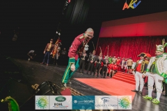 180213_200_Theaterball-2126