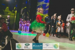 180114_500_Märchenprinzenproklamation-1083
